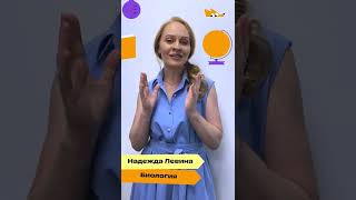 Учителя Фоксфорда — школьникам, пожелания к 1 сентября