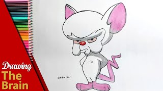 Drawing The Brain From Pinky and the Brain