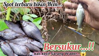 Alhamdulilah Seneng Banget..!! Baru Plung Langsung Strek...SPOT TERBARU KALI KECIL sarang ikan Wader