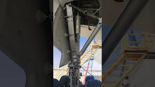 Main landing gear of Airbus 330 and 340 #shorts