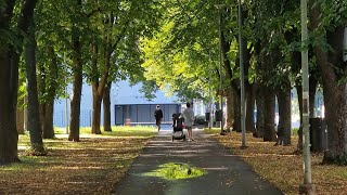 Lembitu park/Sibulaküla/Tallinn Estonia 🇪🇪