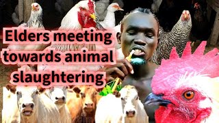 elders meeting 😂 with hen, cocks and cattle 😂😂😂 FUNNY TYME COMEDY😂 south Sudan comedy 😂 funny comedy