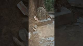 FINDING AN OLD MANDIR DEEP IN THE JUNGLE IN INDIA NEXT TO BRITISH LODGE