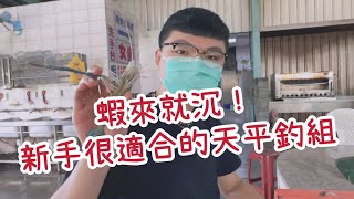 【短標天平】蝦來吃浮標就沉 目視度高 訊號明顯 這款標新手也適合 新手天平  雞腸座釣組 台湾のエビ Shrimp fishing in Taiwan