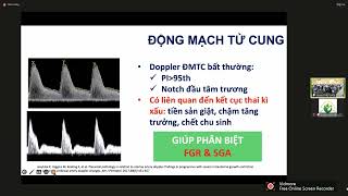 CẬP NHẬT CHẨN ĐOÁN VÀ XỬ TRÍ THAI CHẬM TĂNG TRƯỞNG TRONG TỬ CUNG | ThS. BS. HÀ TỐ NGUYÊN