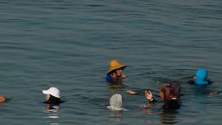 Mare Hammamet   donne velate si bagnano