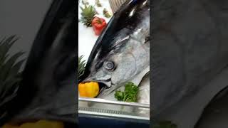 Giant Tuna