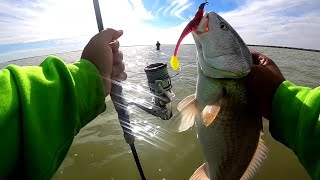 How to work and limit out using plastic lures In 30 minutes at port Mansfield TX