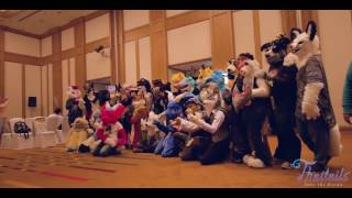 My First Ever Furry Convention! (ThaiTails 2017)