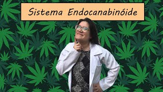 Endocanabinóides. O sistema que reconhece a maconha!