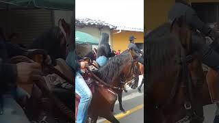 ILES NARIÑO 2023. A PASO FINO CON SUS CABALLOS EN EL DIA DEL CAMPESINO.