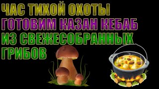 СХОДИЛ ЗА ГРИБАМИ | ГОТОВЛЮ КАЗАН КЕБАБ ИЗ СВЕЖЕСОБРАННЫХ ГРИБОВ | ИСПЫТАНИЕ НОВОГО КАЗАНА