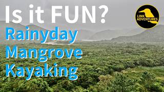 Is Kayaking in the Rainy Day Fun? Mangrove in Amami Oshima