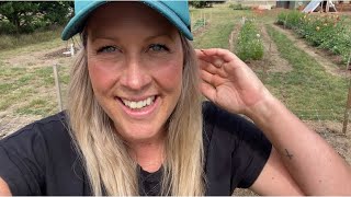 Why I use LAB on the Flower Farm | garlic planting tips | connecting to our Creator