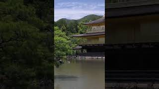 Kuil Kinkakuji - Wisata Japan - Kyoto #Shorts