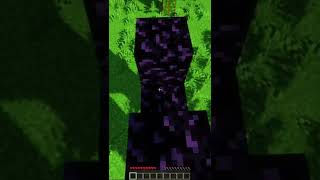 ТЫ ТОЧНО ДЕЛАЛ ЭТО В MINECRAFT