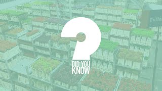 Did You Know?: Royal FloraHolland - Aalsmeer, Netherlands