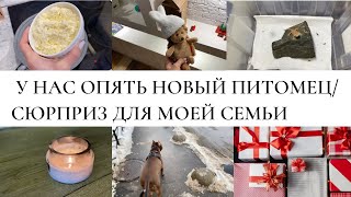 У НАС ОПЯТЬ НОВЫЙ ПИТОМЕЦ/СЮРПРИЗ ДЛЯ МОЕЙ СЕМЬИ