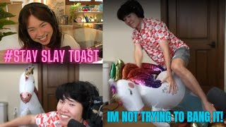 Toast has never been Happier