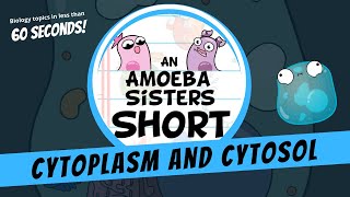 Cytoplasm and Cytosol - Amoeba Sisters #Shorts