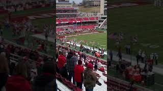 Hog football entrance