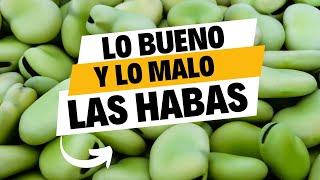 ¡Descubre lo bueno y lo malo de las habas! 🌱