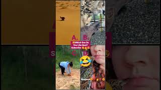 Respect😍💯🔥💯😍 | Respect Tiktok videos | Respect videos | New22 Respect Tiktok | Like boss compilation