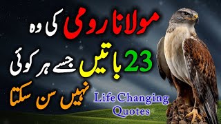 23 Important Sayings Of Mualana Rumi Which Not Everyone Can Hear | Mualana Rumi Quotes In Urdu