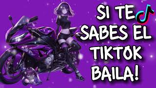 SITE SABES EL TIKTOK BAILA! (2024) 💜