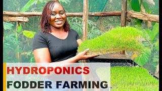 HYDROPONICS Fodder Farming || 10 Easy Steps to Grow Hydroponic Feeds for Poultry