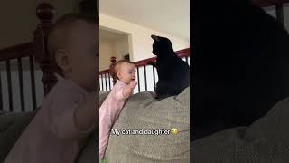 ❤️🐈 Funny cats ❤️🐈 , ❤️Cute cats #CatHouse  episode 186