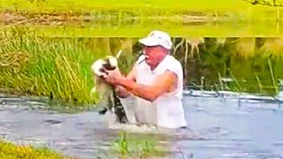 Alligator Grabs Puppy, But Dad Shows He's Not to Be Messed With