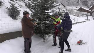 Christbaumschneiden in Mallnitz