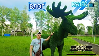 Поездка/ пропал кот/ истории из жизни.Рубрика"Давай перетрем"