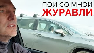 Андрей Державин - Журавли. Пой со мной!