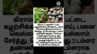 நீர் கட்டி குணமாக  | please subscribe friends