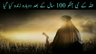 اللہ کے ایک نبی جو 100 کی نیند کے بعد دوبارا زندہ کیے گئے Allah k Nabi jo 100 saal.. |Urdu| |Hindi|