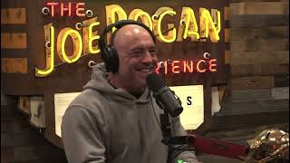 Interview. Ric Flair. Joe Rogan. (For educational purposes).