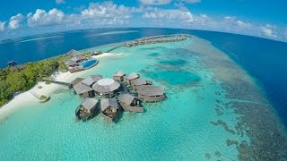 All Inclusive Maldives - Lily Maa restaurant at Lily Beach