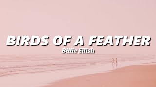 Billie Eilish - BIRDS OF A FEATHER (slowed + reverb)