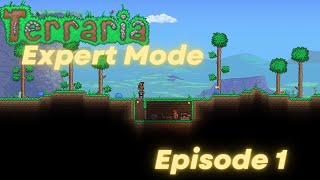 Terraria Expert Mode - Episode 1