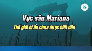 Vực sâu Mariana: Thế giới bí ẩn chưa được biết đến