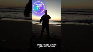 Tai Chi Short #10: Ejercicio Básico