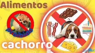 Alimentos proibidos para cachorro ❌  🚫 🐾 🐶 🐕   ☠