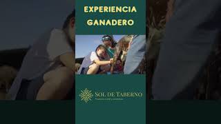 Experiencia Ganadero en Sol de Taberno