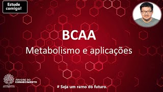 BCAA - metabolismo e usos.