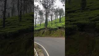 വയനാട്ടിലെ ഒരു സായാഹ്നം😍 #travelvlog #wayanad #bikeride #adventures