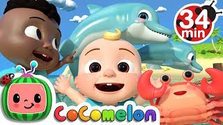 Sea Animal Song + More Nursery Rhymes & Kids Songs - CoComelon