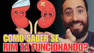 RINS, PEDRA NO RIM, DORES no RIM é PERIGOSO? AFETA A FUNÇÂO DO RIM? CALCULO RENAL causa DOR no RIM?