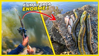 Todo cuidado é pouco com esse peixe! Fiz uma pescaria de Moreia